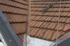IMG_1658